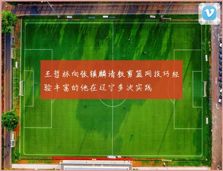 王哲林向张镇麟请教剪篮网技巧经验丰富的他在辽宁多次实践
