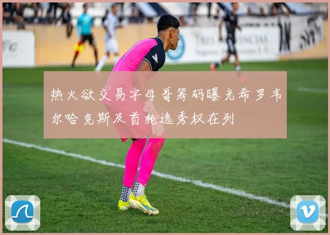 热火欲交易字母哥筹码曝光希罗韦尔哈克斯及首轮选秀权在列